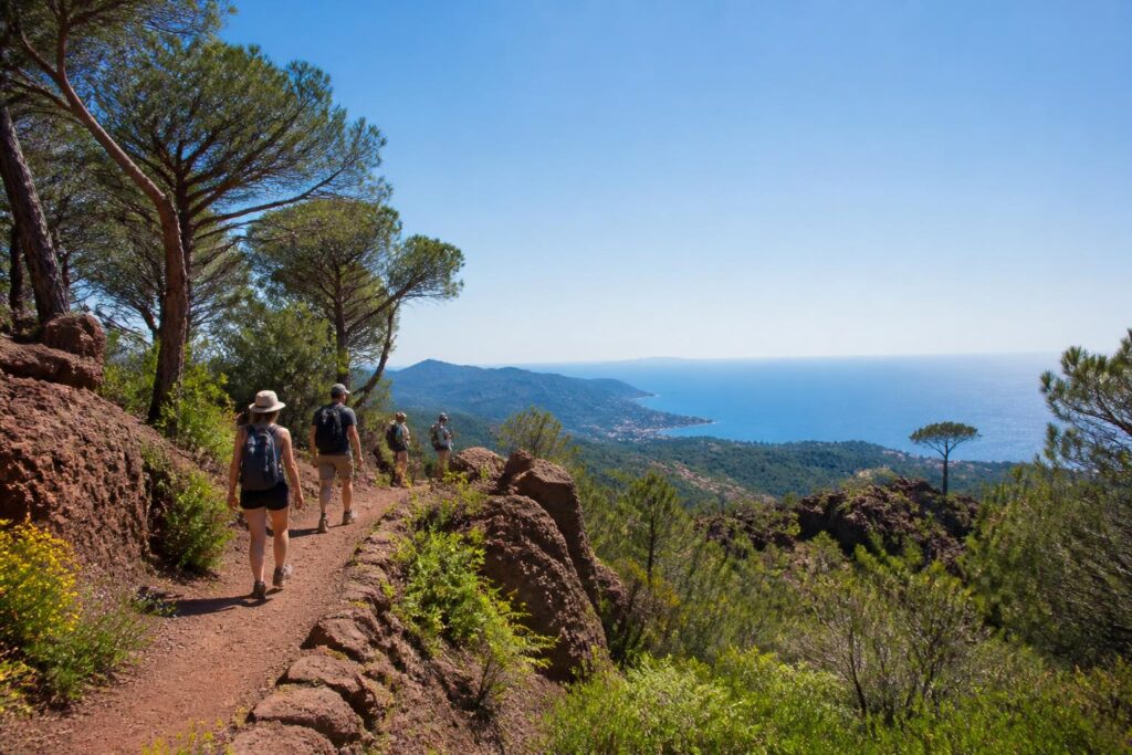 découvrez les meilleurs sentiers de randonnée dans l'estérel pour une escapade nature inoubliable alliant paysages méditerranéens et trésors naturels.