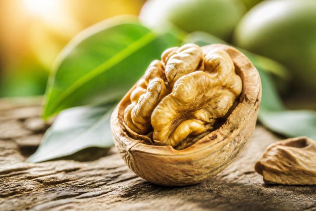 découvrez combien de calories contient une noix et quelle quantité d'énergie cette petite gourmandise peut vous apporter au quotidien.