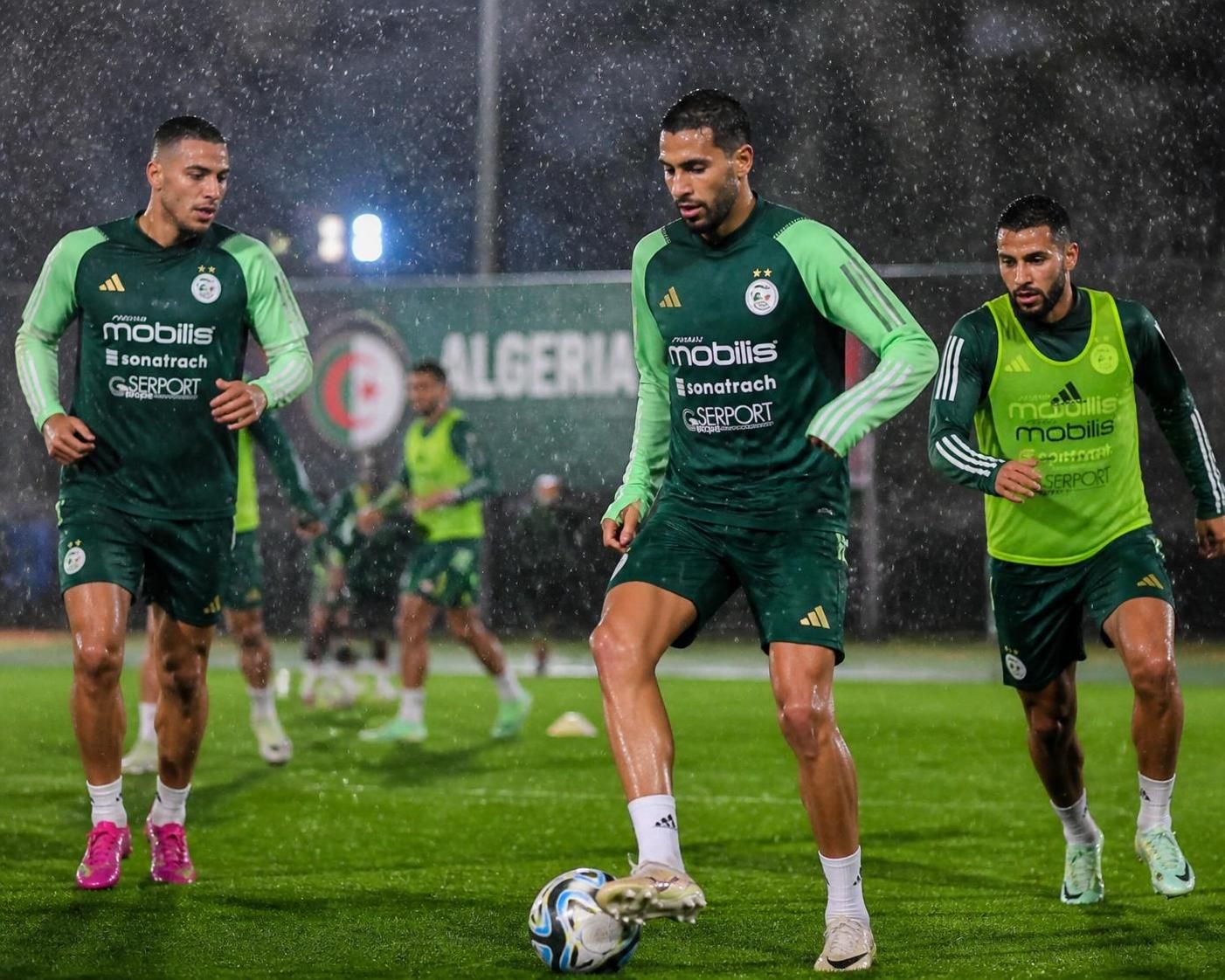 découvrez le classement actuel de l’équipe d’algérie de football et analysez la position des fennecs sur la scène mondiale, leur performance récente et leurs perspectives futures.