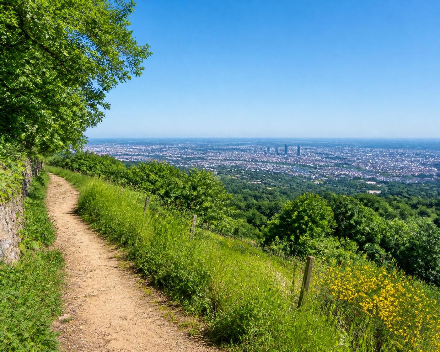 découvrez les plus beaux sentiers de randonnée autour de lyon et profitez de panoramas exceptionnels sur la région. guide complet pour les amoureux de la nature et de la découverte.