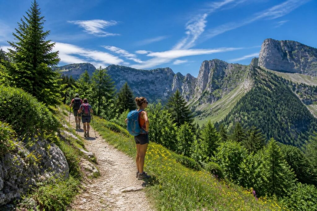 découvrez les meilleurs sentiers de randonnée en chartreuse pour une escapade réussie, entre nature préservée, vues panoramiques et itinéraires adaptés à tous les niveaux.